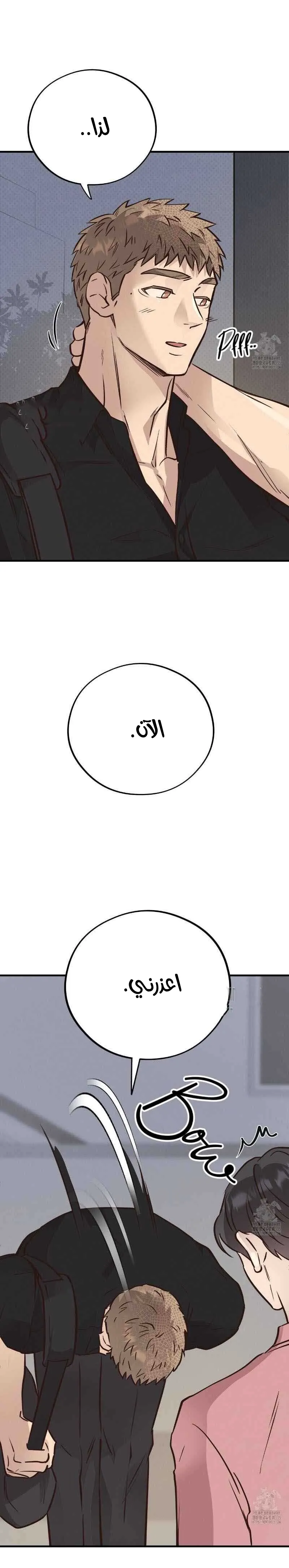 دب العسل – الفصل 40 page 8